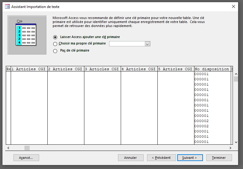 Importer (6) des données DVF dans Microsoft Access